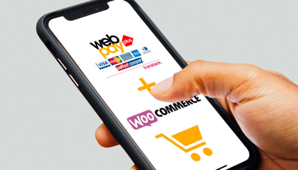 Comercio electrónico y pagos online